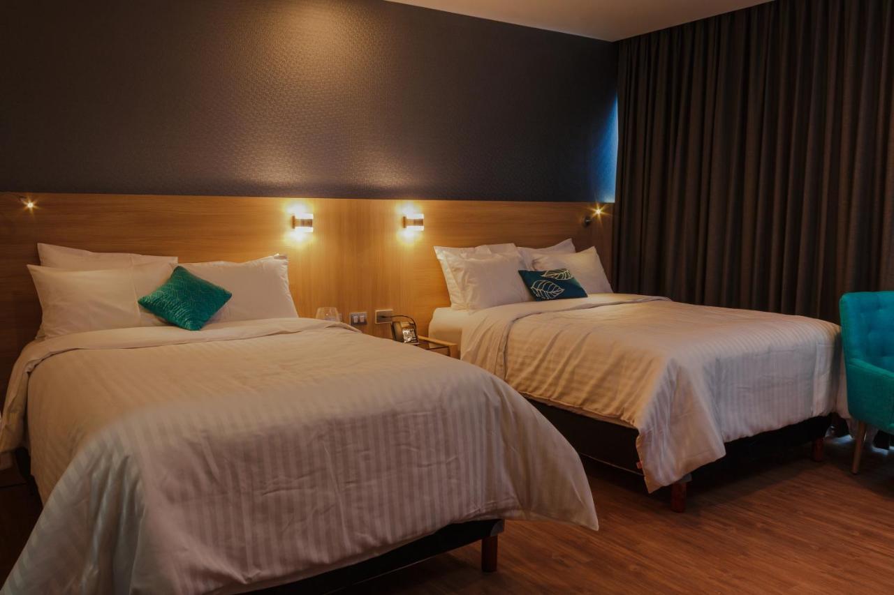 Hotel Kavia Monterrey Dış mekan fotoğraf